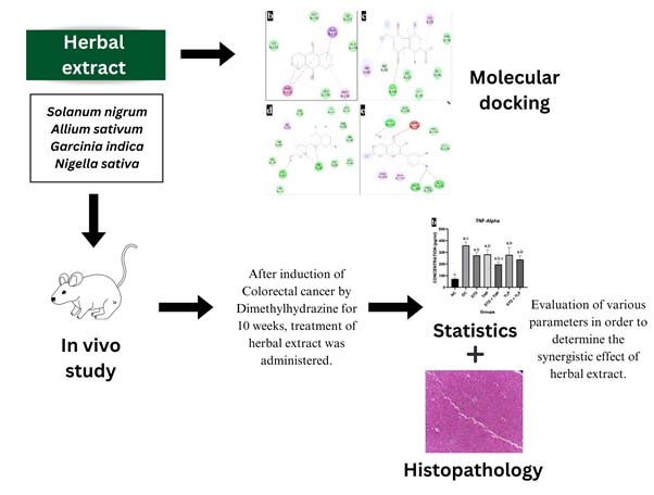 Graphical Abstract